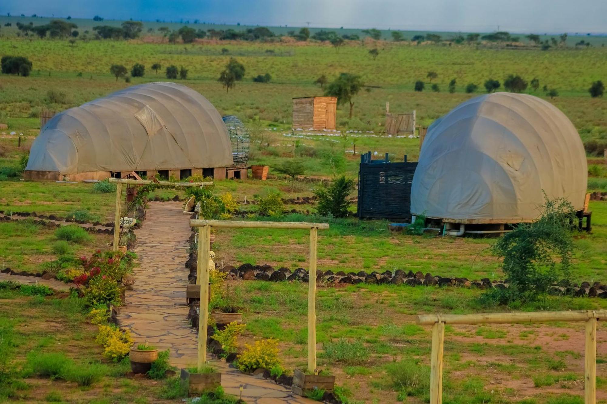Amanya 2-Rooms Lioness Family Amboseli Kültér fotó